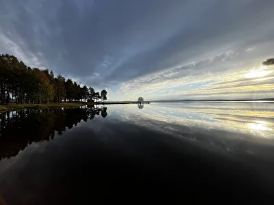Spieglung