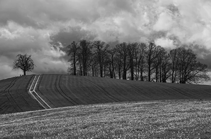 Der Weg...