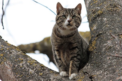 Katerbower Aussichtspunkt