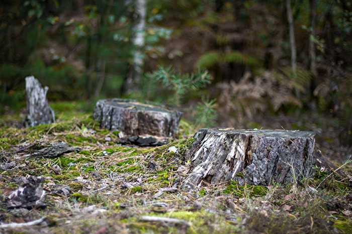 Mal mit Blende 1.4 gespielt
