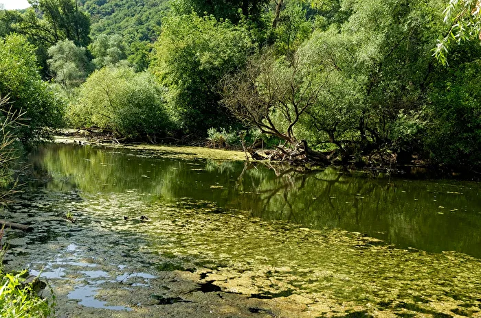 Pure nature