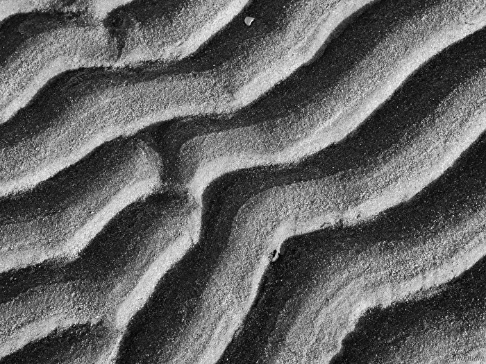 Sandwellen