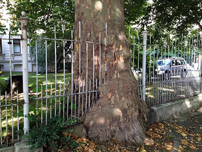 Naturgewalt