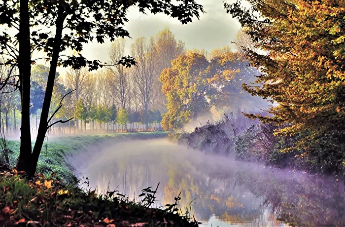 " The Fog "