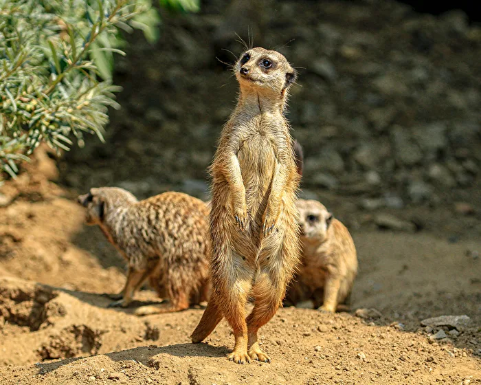 Im Zoo 2