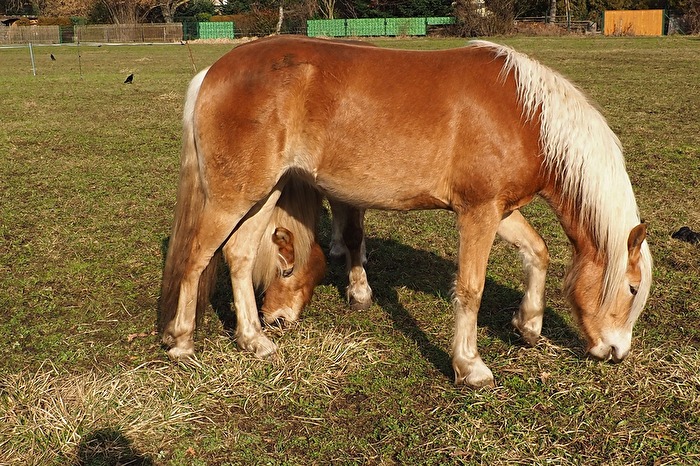 Vorsicht! Ich bin unter Dir