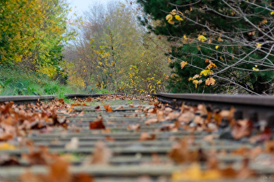Eisenbahn auf Abwegen