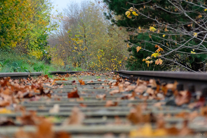 Eisenbahn auf Abwegen