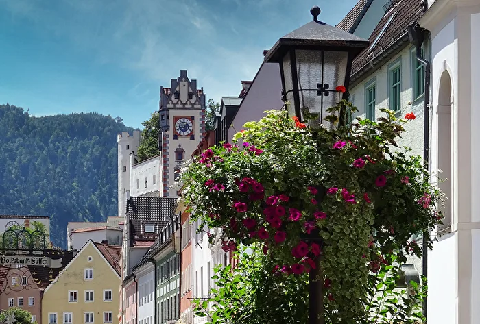 Der letzte Sommer