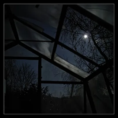 moonshine