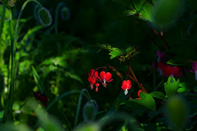 ohne Titel