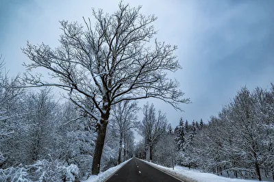Winterlandschaft