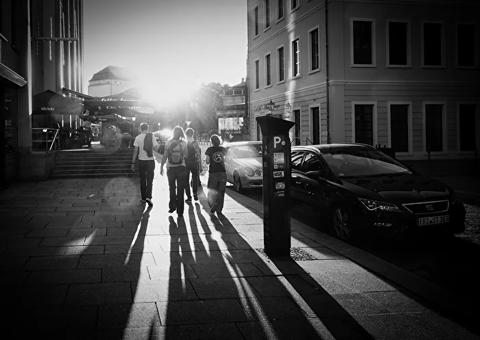 im Gegenlicht