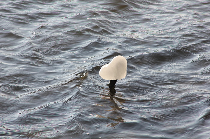 Nord Ostsee Kanal