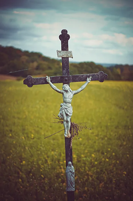Autumn Cross