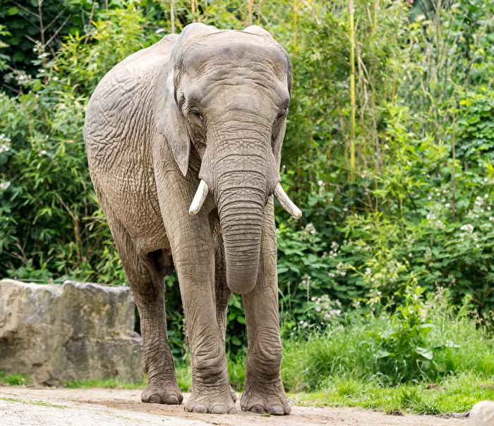 Im Zoo Duisburg