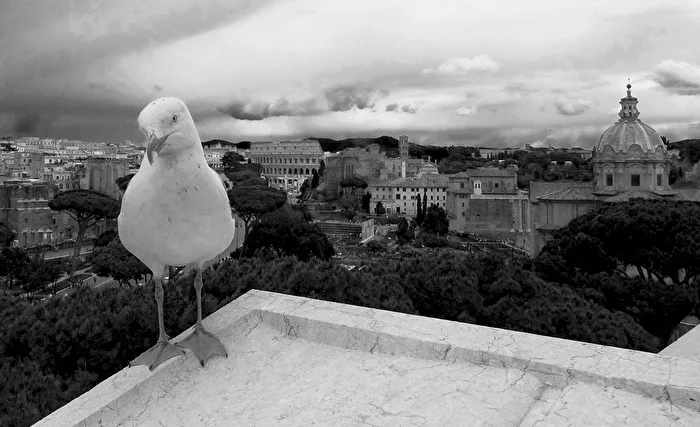 Der Wächter von Rom