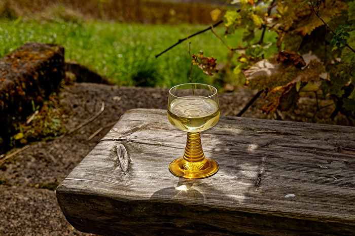 …von der Herbst Sonne verwöhnt - Pause im Weinberg