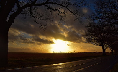 Heimweg