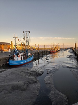 Ebbe