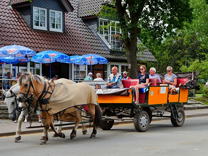 Carriage ride