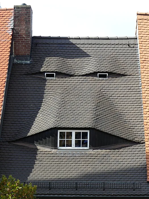 Smiling Roof