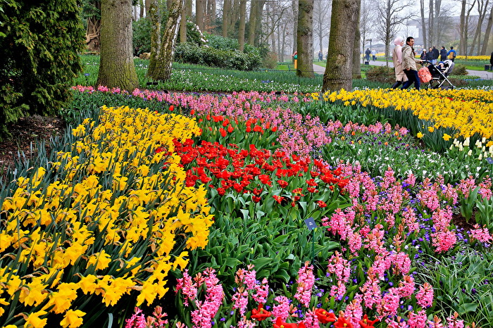 #Frühling