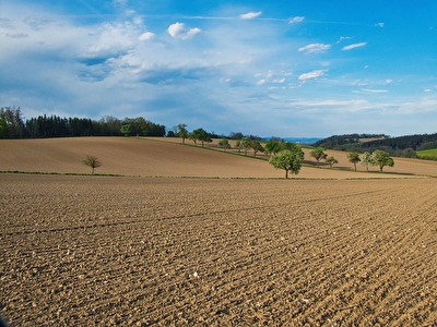ohne Titel