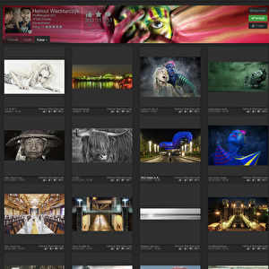 Photos dans le profil