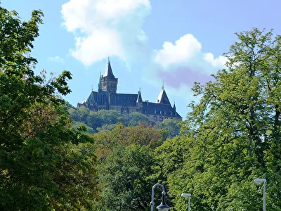 Schloss Wernigerode im Blick
