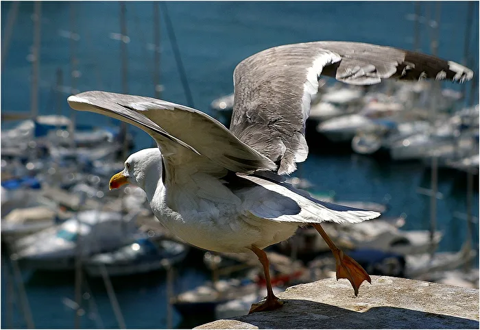 Abflug