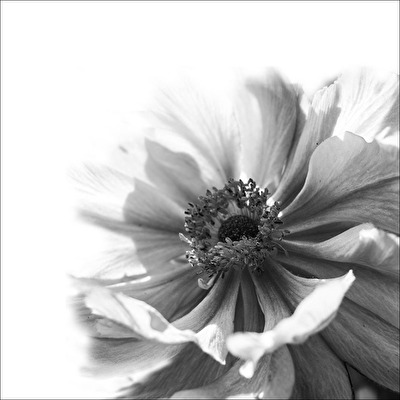 Poesie, Vision Sehnsucht...