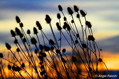 ohne Titel