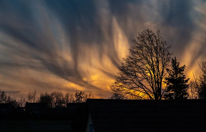 today behind the house