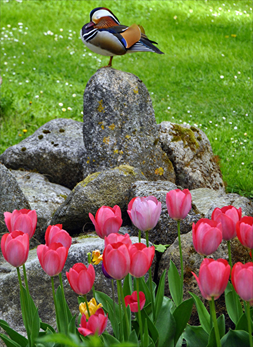 Frühling