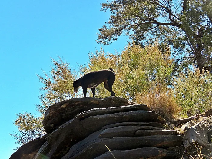Summit conqueror
