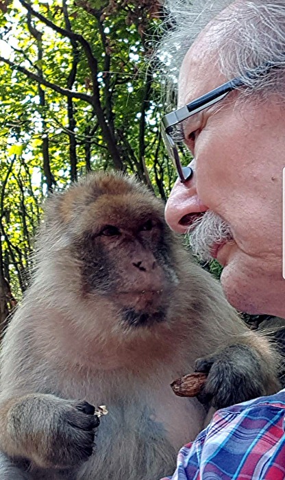Berberaffe