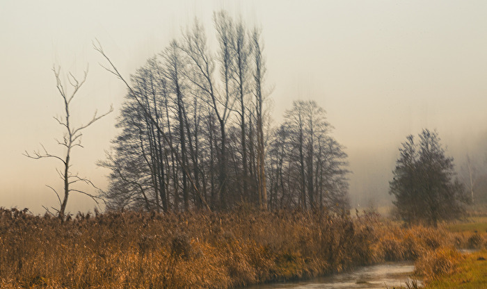Herbstland