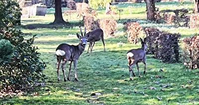 heute auf dem Südfriedhof in Leipzig...
