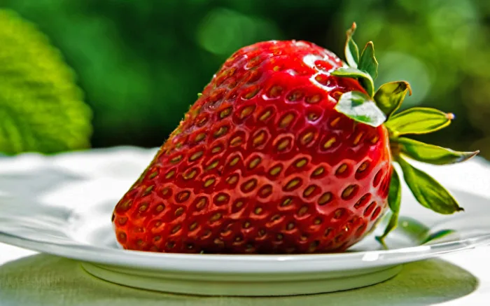 Fruit Portrait Strawberries Red