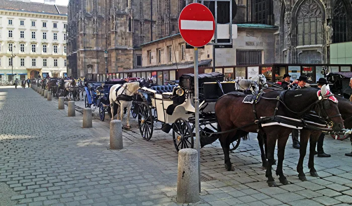 Am Stephansdom