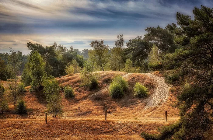 National Park De Maasduinen 3