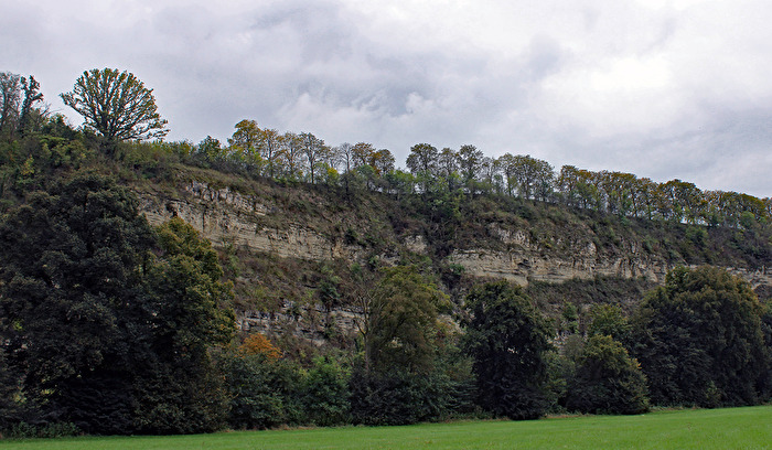 Bäume und Felsen