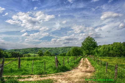 Odenwald