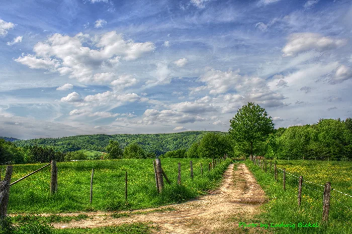 Odenwald