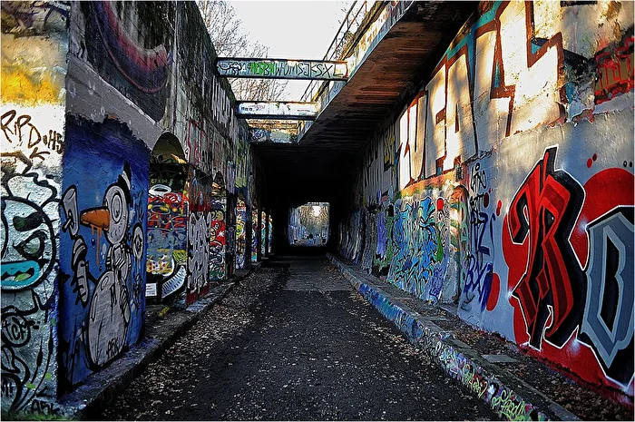 Naturschutzgebiet Südgelände