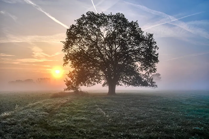 Morning in Havelland