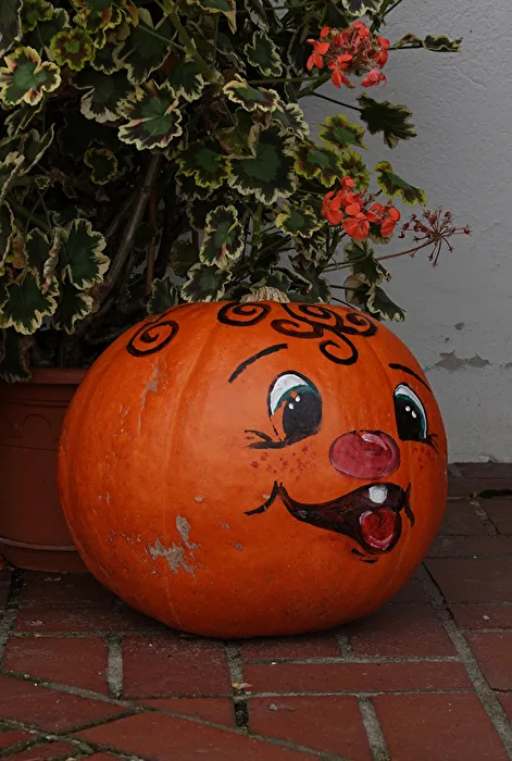 Der freundliche Kürbis
