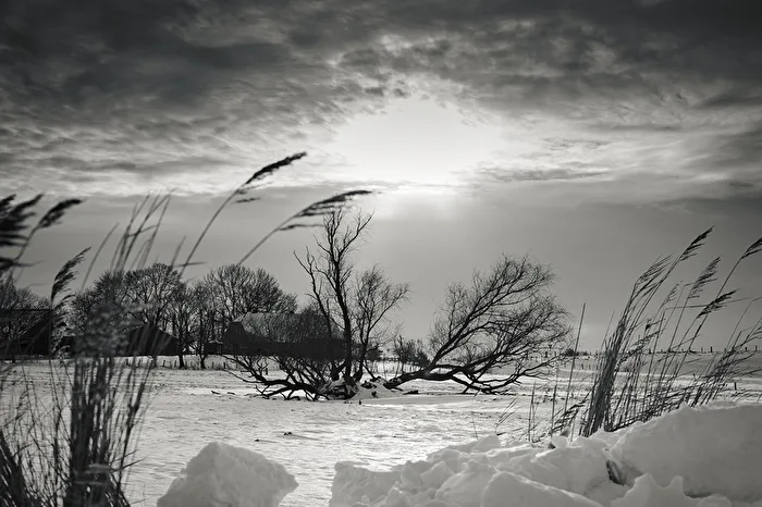 Winter Landscape