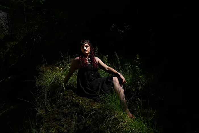The Dark Elf